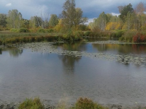 осень