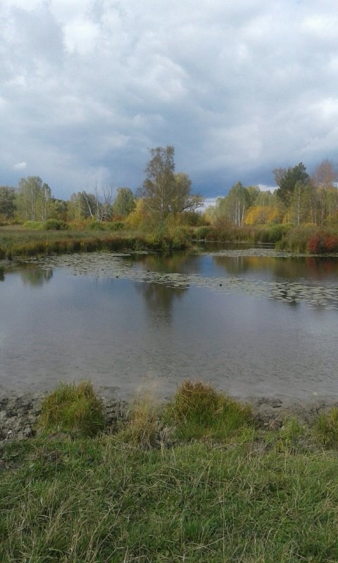 осень