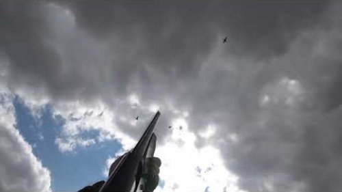 Охота с подхода