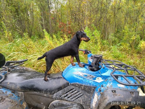 Ну и пейте чай, а я на охоту