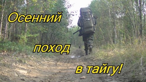 Осенний поход в тайгу, брусника, мусор в лесу, комбинашка Иж-94.