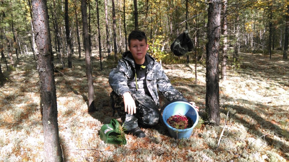 На боровой охоте