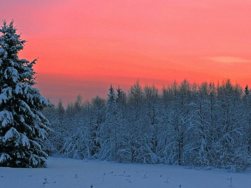 утро красное