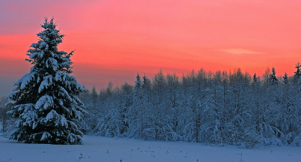 утро красное