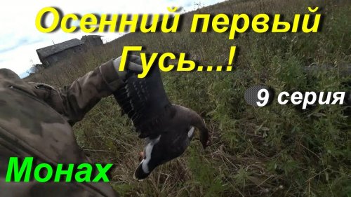 Гусь под окном. серия 9