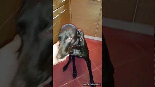 Асюха с нами год