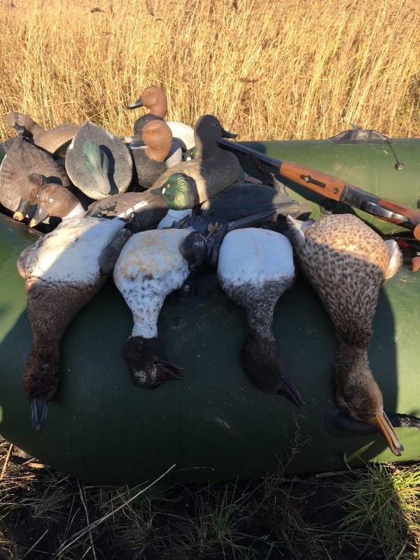 6 октября