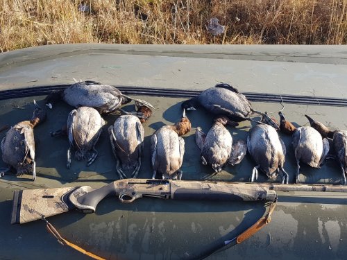 Впринцепе не плохо с такой погодкой