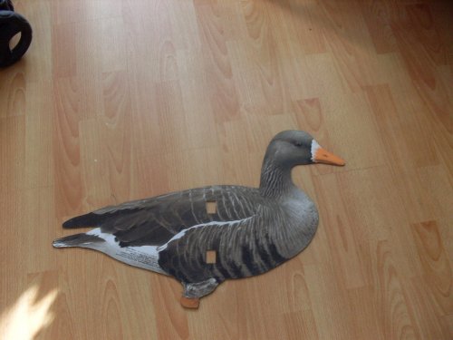 Доработка профилей белолобых гусей Webfoot Real Geese WF901PS.
