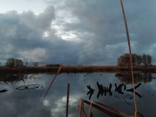 Вечерка