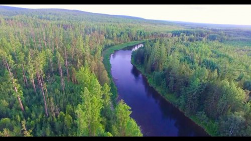Нижняятунгуска#устьерекиСиняя#Киренскийра-н#phantom3pro