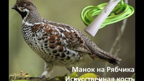 Манок на рябчика. #Манок из искусственной кости от RTCalls