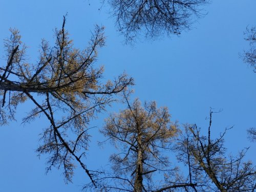 красота