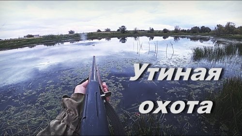 Охота на уток. Охота с подхода, отстрелялся по стае.