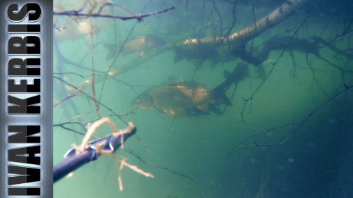 Отвал башки!???? Подводная охота на Красноярском водохранилище, открытие сезона 2018????.
