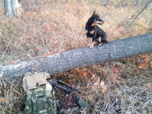 Прогулялись