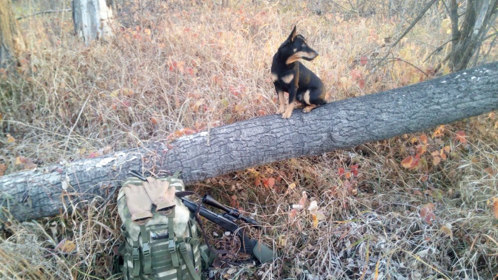 Прогулялись
