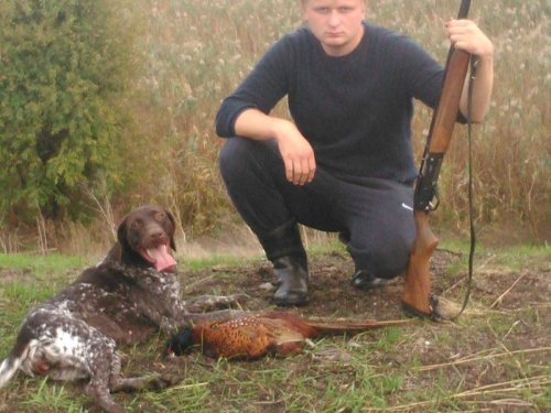 Кубань или ребята с нашего двора.