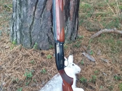 Браунинг и зайка