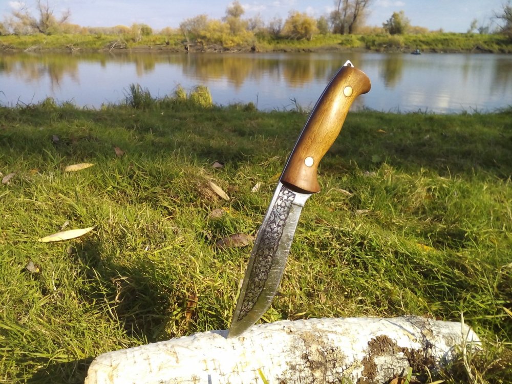 Фазан. Кизляр
