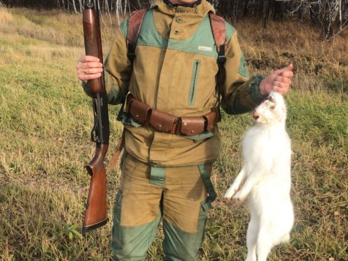 Добыл косого)