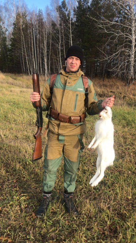 Добыл косого)
