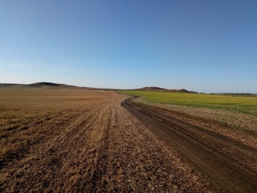 Осень, поля, дорога и отличное настроение