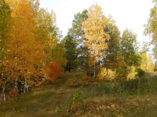 Осенний пейзаж