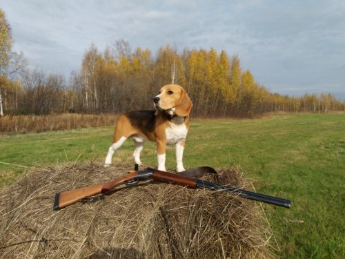 Без трофея!