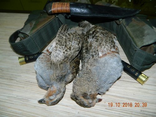 С дуплета