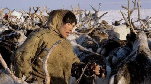 Эвенкия  между прошлым и будущим.  Оленные люди