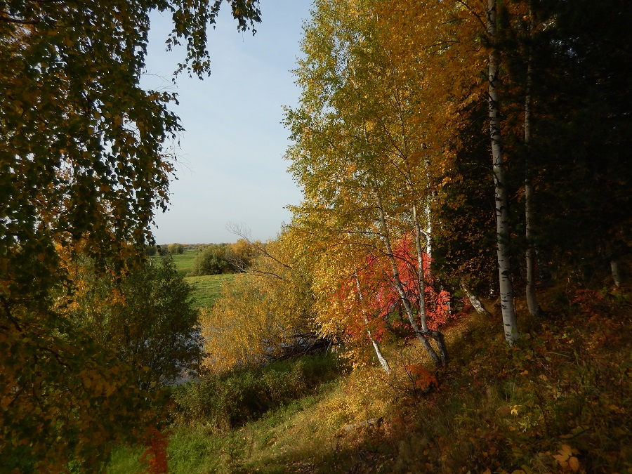 Осенний пейзаж