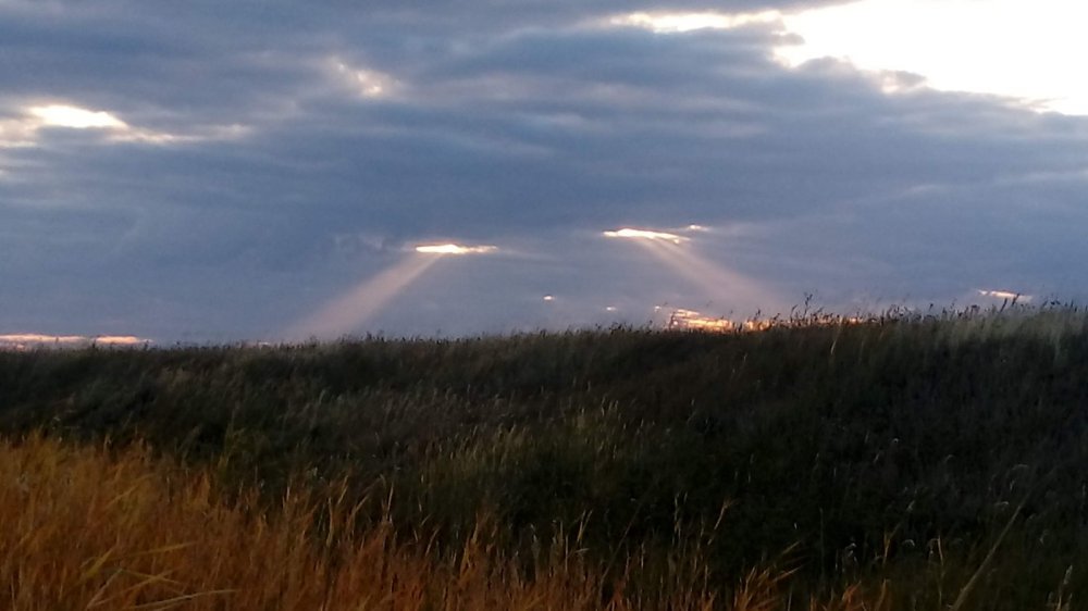 Он всё видит.