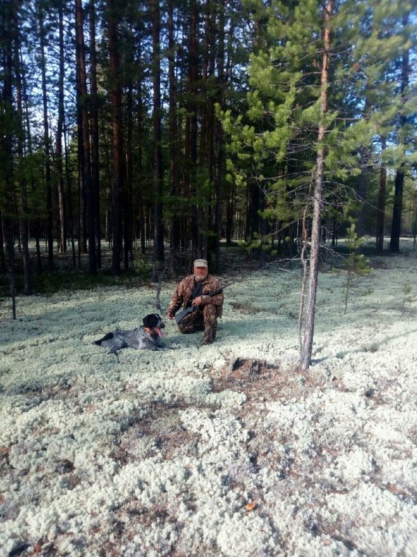 Гуляем по беломошникам.