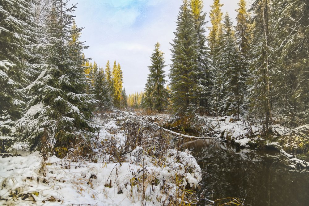 лесная речка, первый снег