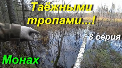 Прогулка по старым заросшим дорогам .серия 8