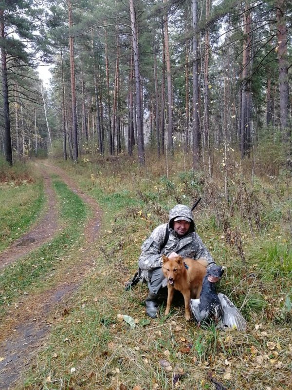 КФЛ