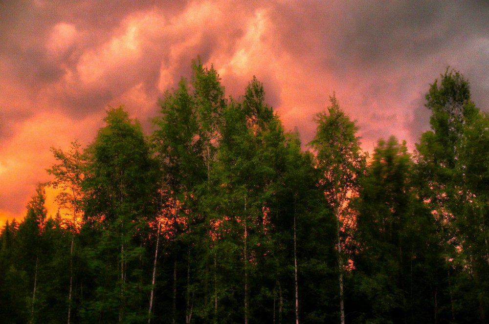 заря догорала