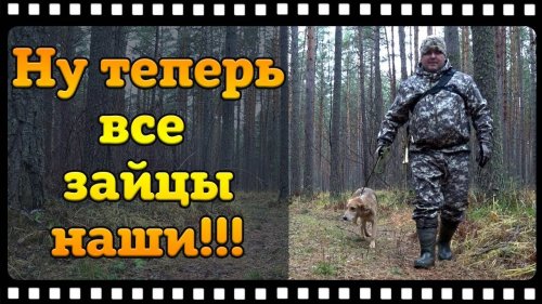 Ну всё ребята, стал гончатником!