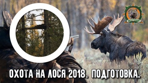 Охота на лося 2018. Подготовка