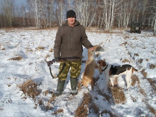 Взяли плутовку!