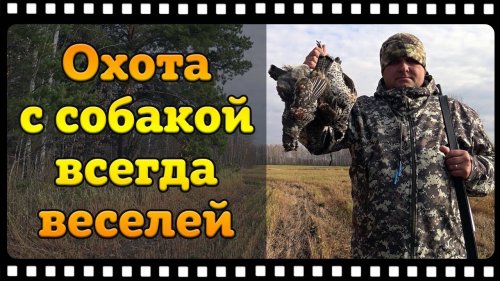 Зайца про воронили, но без добычи не остались!