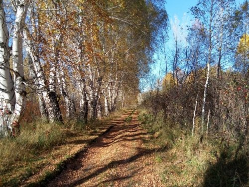 Дорога удачи