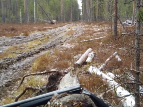 Подморозило перед снегопадом.