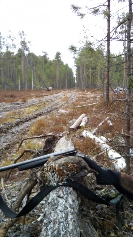 Подморозило перед снегопадом.