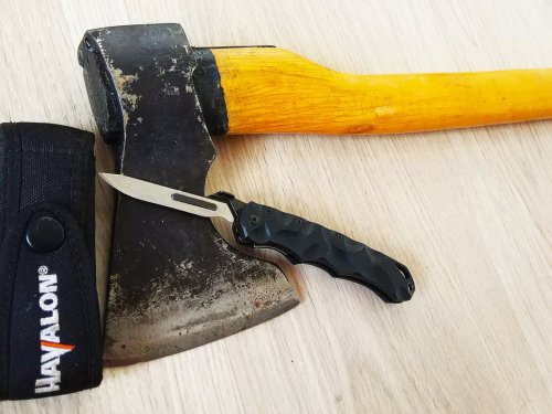 Эта парочка раскидает любого зверя.