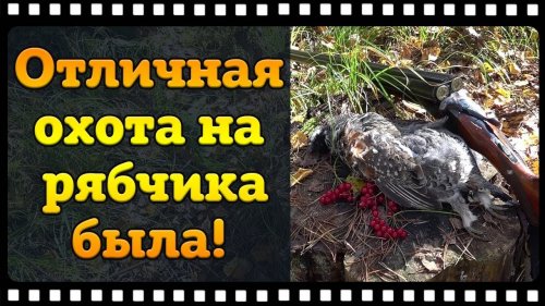 Отлично по охотился на рябчика с манками "Чемпион"