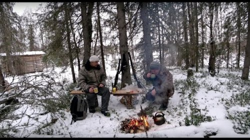 ПОХОД ДО ИЗБУШКИ-ОХОТА НА БОРОВУЮ ДИЧЬ.