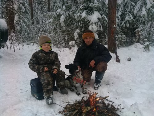 В зимнем лесу