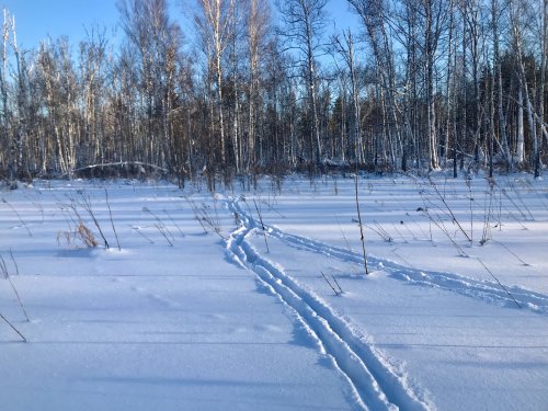 Свежие